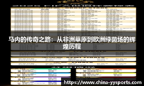 易游yy体育官网